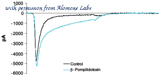 Alomone Labs P-180 image 1