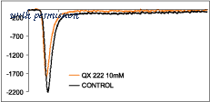 Alomone Labs Q-200 image 1