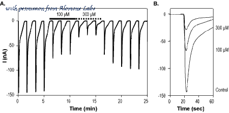 Alomone Labs RTC-450 image 1