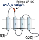 Alomone Labs S-120 image 1