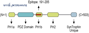 Alomone Labs S-180 image 1
