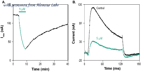 Alomone Labs STA-305 image 1