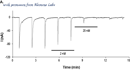 Alomone Labs STC-370 image 1