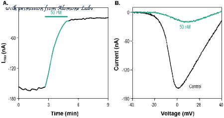Alomone Labs STC-770 image 2