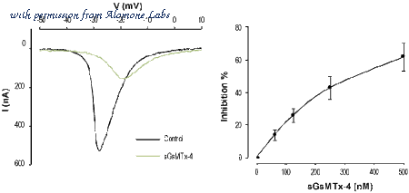 Alomone Labs STG-100 image 1