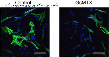 Alomone Labs STG-100 image 2