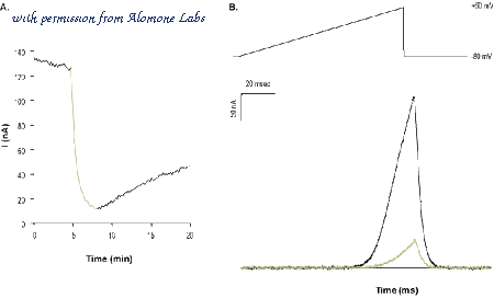 Alomone Labs STG-200 image 1