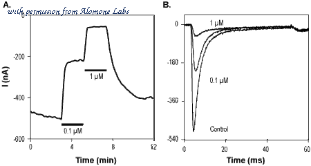 Alomone Labs STG-250 image 2