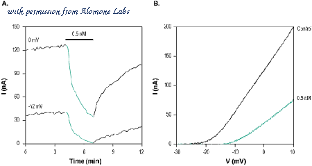 Alomone Labs STH-300 image 1