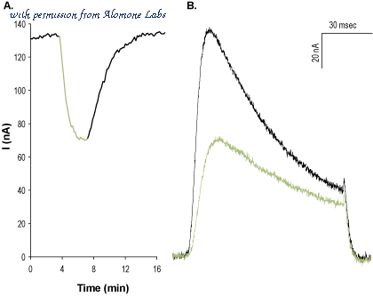 Alomone Labs STH-340 image 1