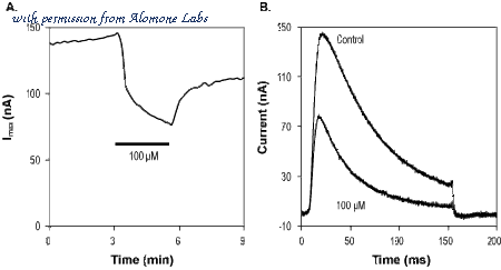 Alomone Labs STH-601 image 1