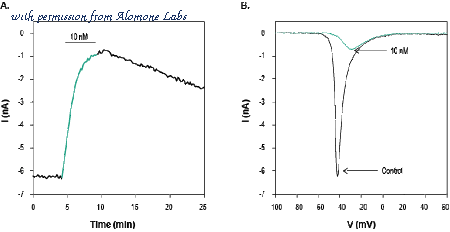 Alomone Labs STJ-050 image 1