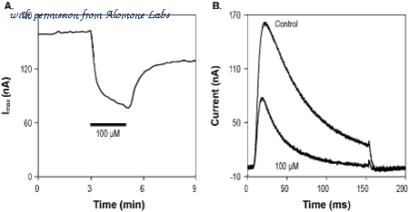 Alomone Labs STP-150 image 1