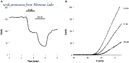 Alomone Labs STP-500 image 2