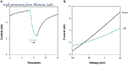 Alomone Labs STS-370 image 1