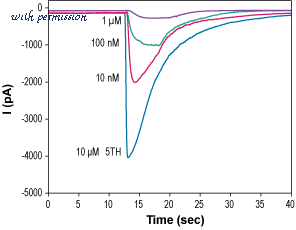 Alomone Labs STS-500 image 1