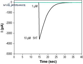 Alomone Labs STT-050 image 1