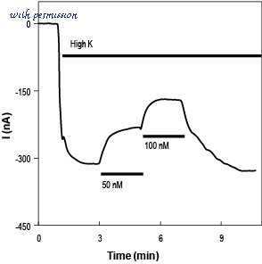 Alomone Labs STT-170-AG image 1
