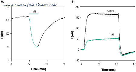 Alomone Labs STT-360 image 1