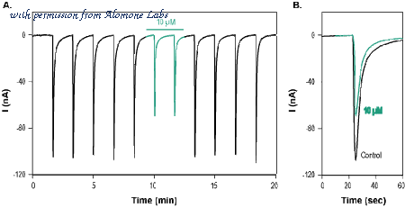Alomone Labs STW-001 image 1