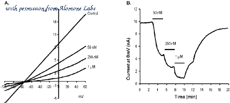 Alomone Labs T-105 image 1