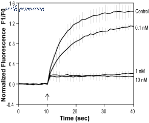 Alomone Labs T-165 image 1