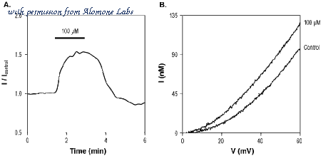 Alomone Labs T-165 image 2