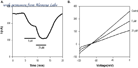 Alomone Labs T-190 image 1