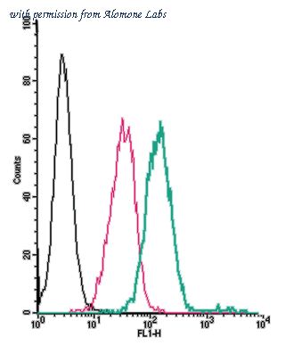 Alomone Labs AGR-046-F image 1