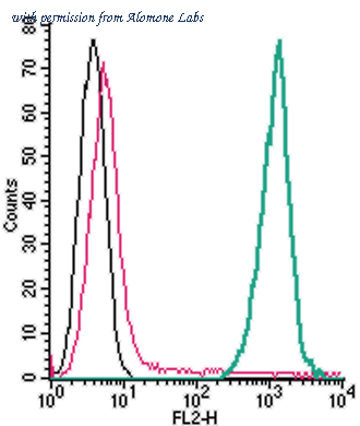 Alomone Labs ANR-018-PE image 1