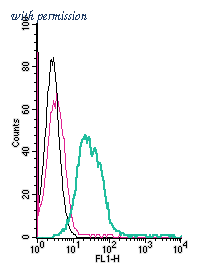 Alomone Labs AZT-006-F image 1