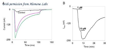 Alomone Labs STI-300 image 1