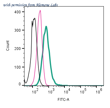 Alomone Labs AAR-015-F image 2