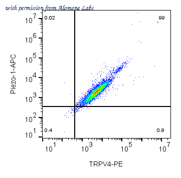Alomone Labs ACC-124-PE image 3