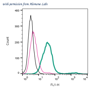 Alomone Labs AGR-063-F image 1