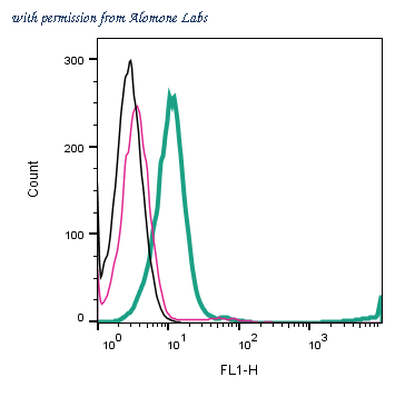 Alomone Labs AGR-063-F image 2