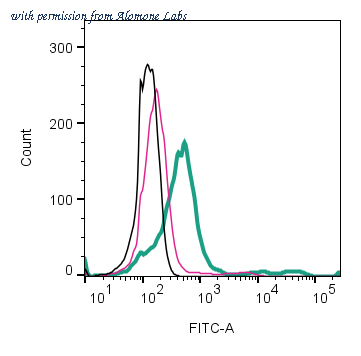 Alomone Labs AHR-012-F image 2