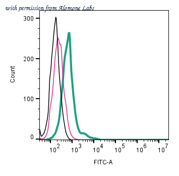 Alomone Labs ANR-029-F image 2