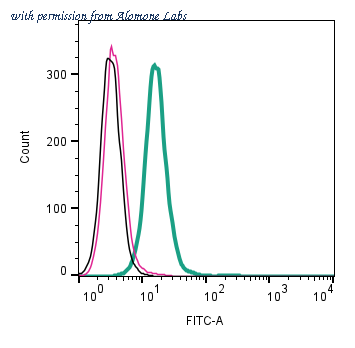 Alomone Labs ANR-074 image 3