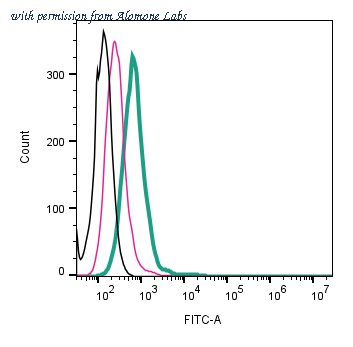 Alomone Labs ANR-156-F image 2