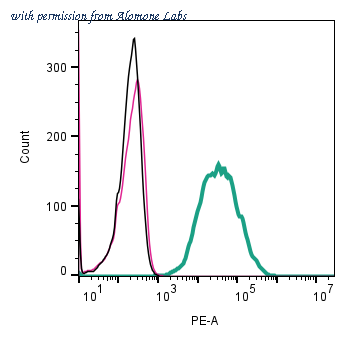 Alomone Labs ANR-209-PE image 1