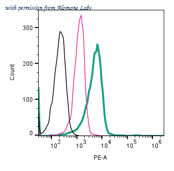 Alomone Labs ANR-209-PE image 2
