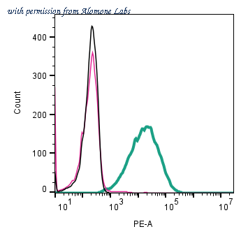 Alomone Labs ANR-211-PE image 1