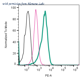 Alomone Labs ANR-211-PE image 2