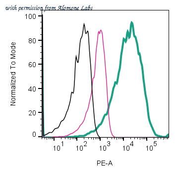 Alomone Labs ANR-211-PE image 3