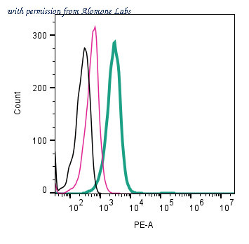 Alomone Labs ANT-083-PE image 1