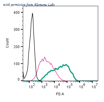 Alomone Labs ANT-083-PE image 2