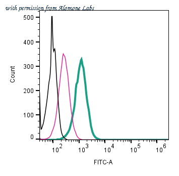 Alomone Labs AOR-012-F image 1