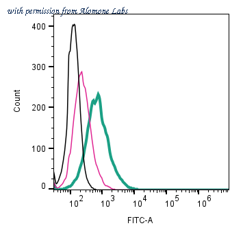 Alomone Labs AOR-012-F image 2