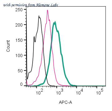 Alomone Labs APR-024-APC image 2